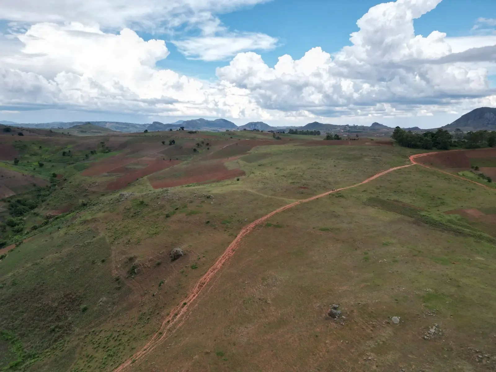 Rolling green highlands and a red dirt track in Malawi